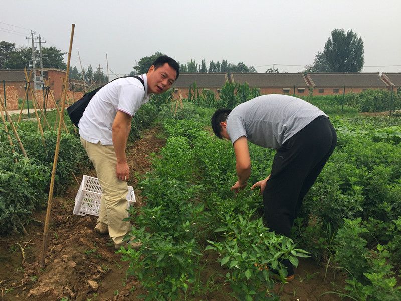 好利來郭總喊您來摘菜啦！綠色無公害，放心！