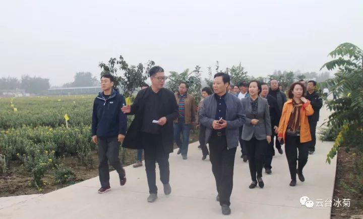 云臺冰菊基地發(fā)生了什么？一批批領(lǐng)導(dǎo)專家團(tuán)隊(duì)前來！